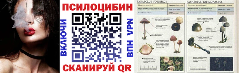 Галлюциногенные грибы мицелий Окуловка