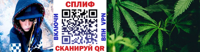 цена   Окуловка  Бошки марихуана White Widow 